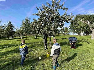 Apfeltag im Doktorgarten Foto: Gudrun Marin-Ziegler